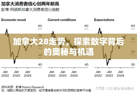 加拿大28走势，探索数字背后的奥秘与机遇