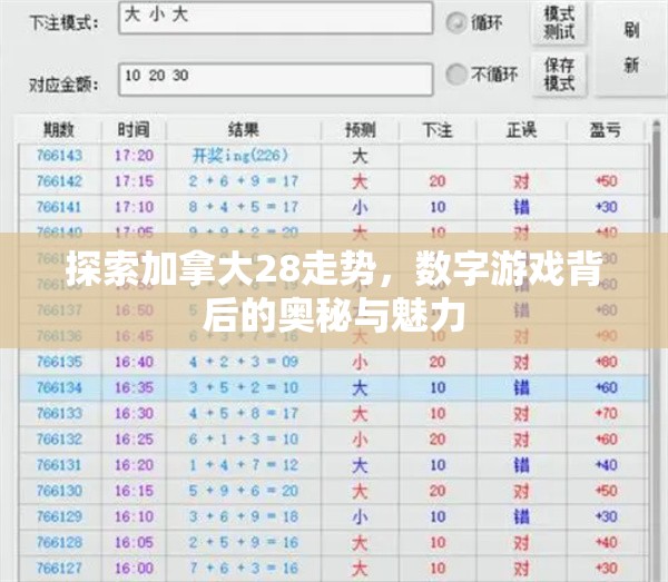 探索加拿大28走势，数字游戏背后的奥秘与魅力