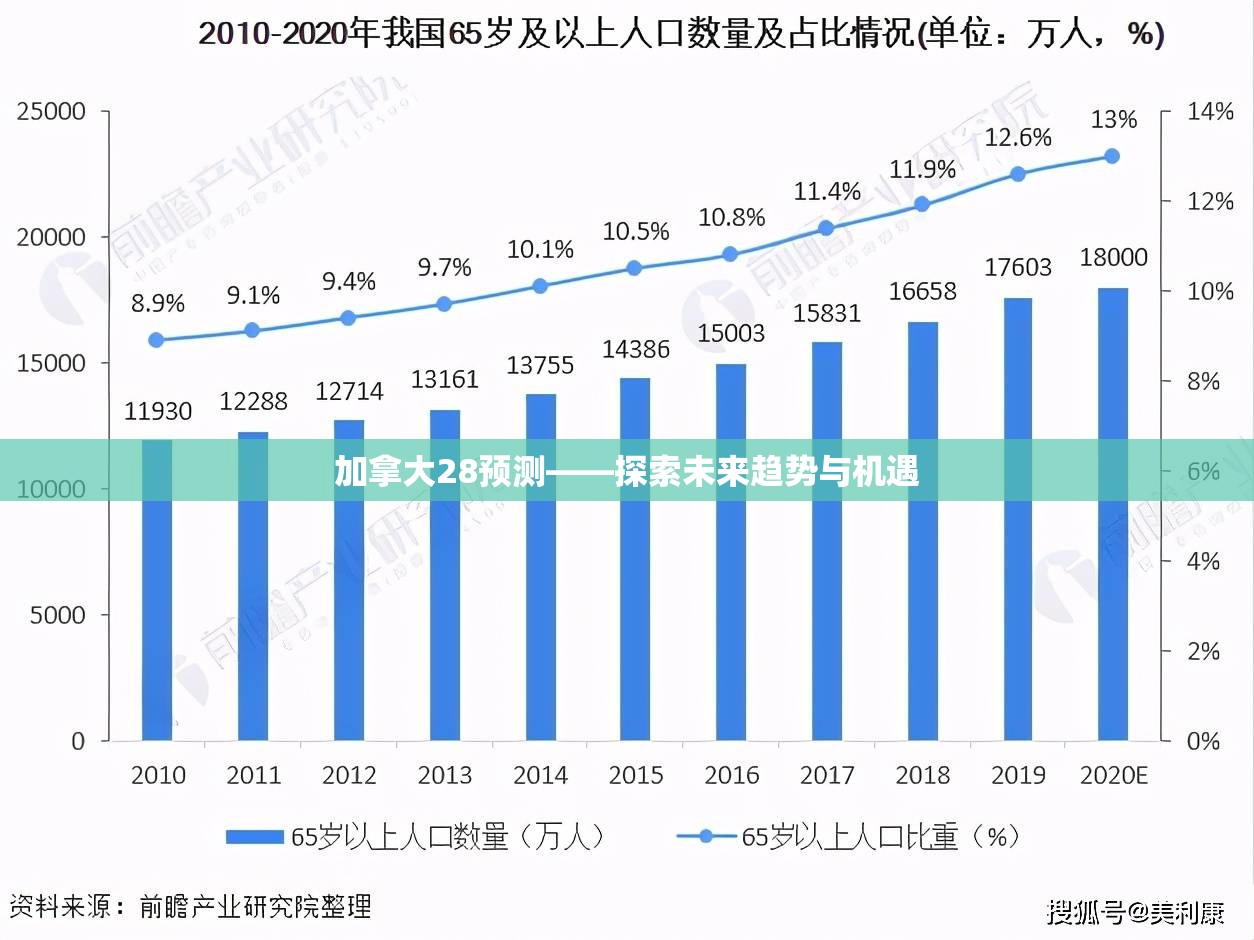 加拿大28预测——探索未来趋势与机遇