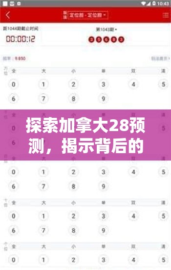 探索加拿大28预测，揭示背后的秘密与策略