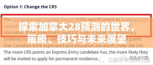 探索加拿大28预测的世界，策略、技巧与未来展望