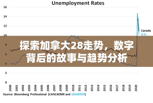 探索加拿大28走势，数字背后的故事与趋势分析