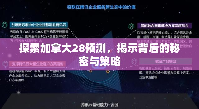 探索加拿大28预测，揭示背后的秘密与策略