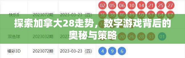 探索加拿大28走势，数字游戏背后的奥秘与策略