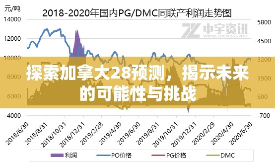 探索加拿大28预测，揭示未来的可能性与挑战