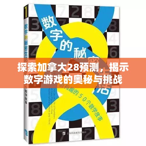 探索加拿大28预测，揭示数字游戏的奥秘与挑战