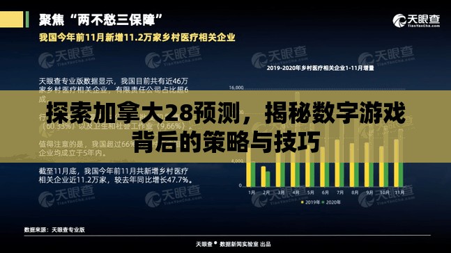 探索加拿大28预测，揭秘数字游戏背后的策略与技巧