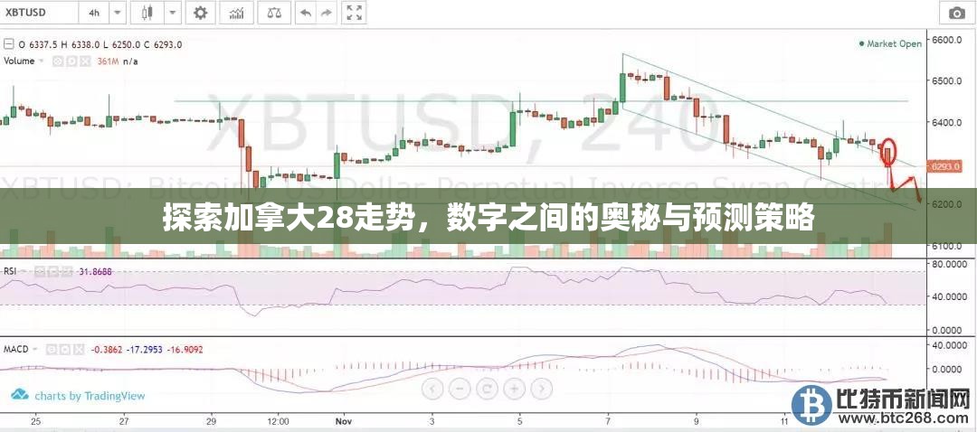 探索加拿大28走势，数字之间的奥秘与预测策略