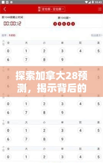 探索加拿大28预测，揭示背后的秘密与策略