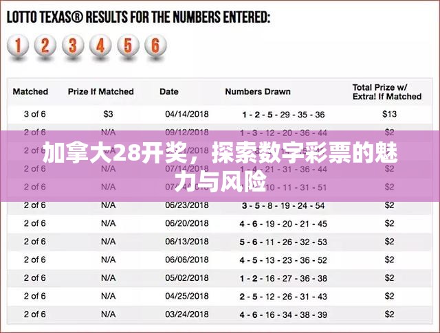 加拿大28开奖，探索数字彩票的魅力与风险