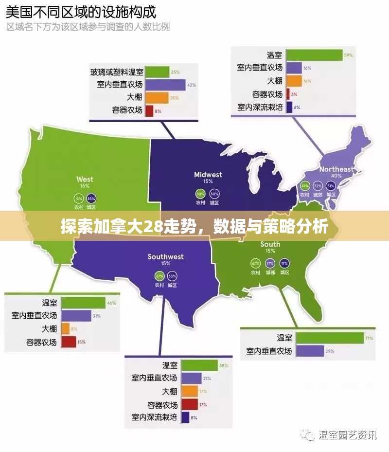 探索加拿大28走势，数据与策略分析