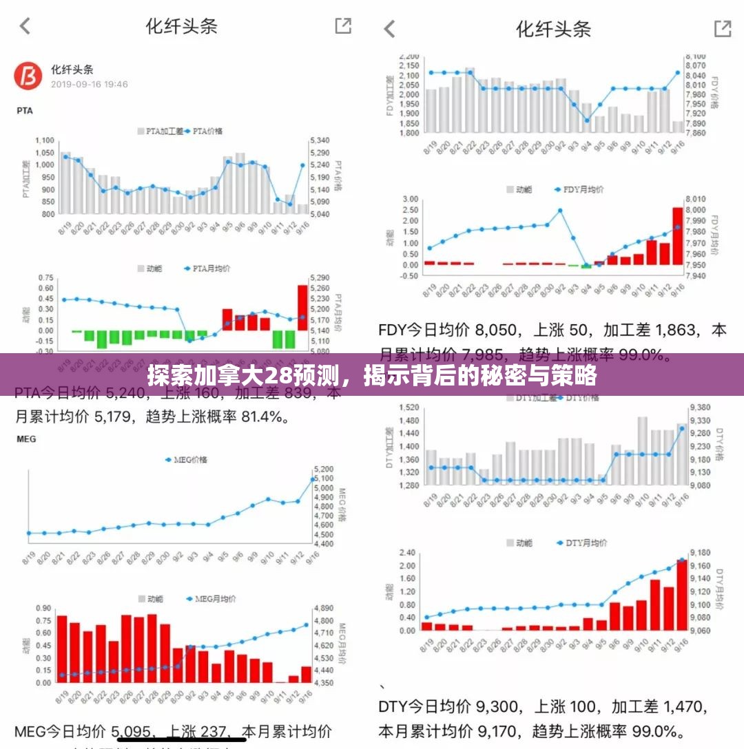 探索加拿大28预测，揭示背后的秘密与策略