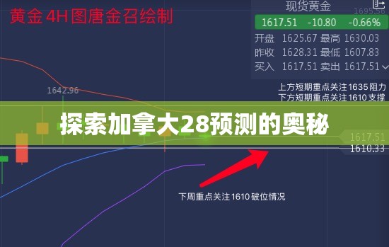 探索加拿大28预测的奥秘