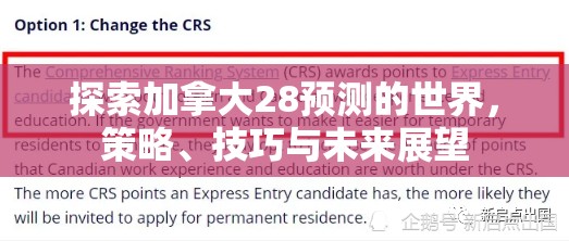 探索加拿大28预测的世界，策略、技巧与未来展望