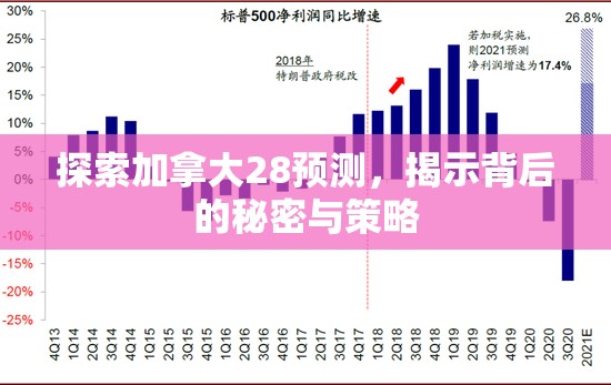 探索加拿大28预测，揭示背后的秘密与策略