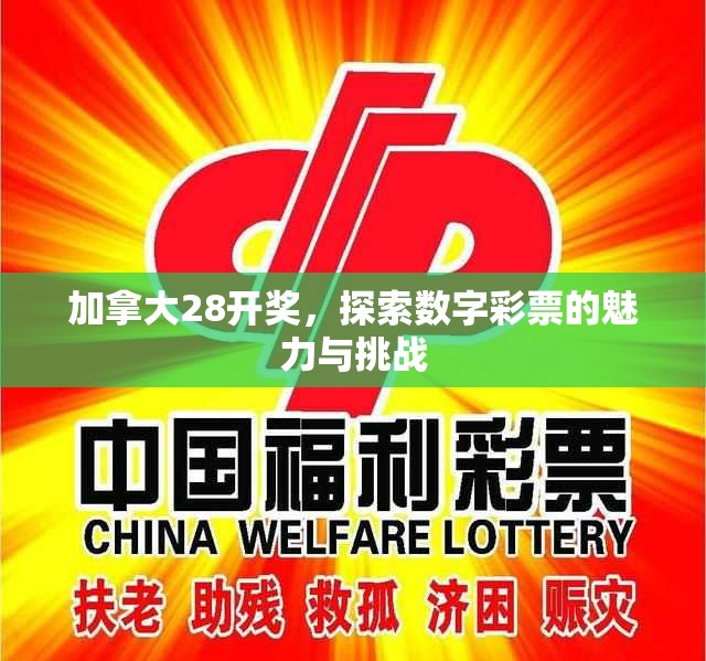 加拿大28开奖，探索数字彩票的魅力与挑战