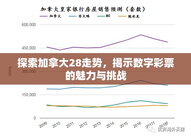 探索加拿大28走势，揭示数字彩票的魅力与挑战