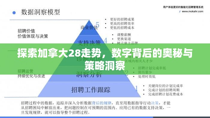 探索加拿大28走势，数字背后的奥秘与策略洞察