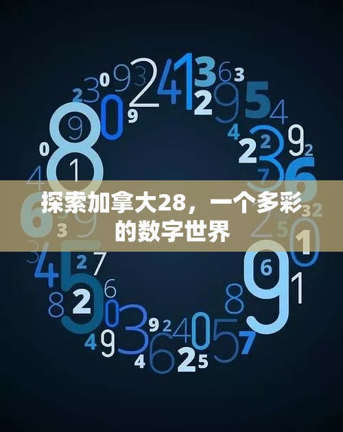 探索加拿大28，一个多彩的数字世界