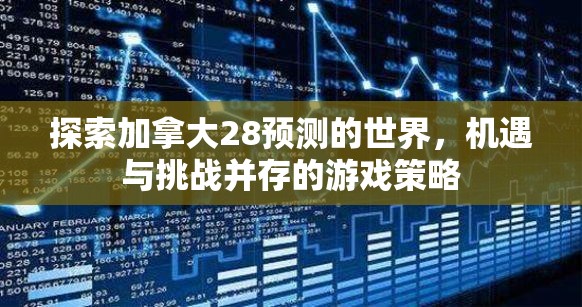 探索加拿大28预测的世界，机遇与挑战并存的游戏策略