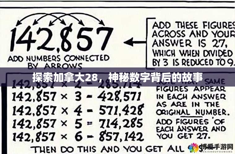 探索加拿大28，神秘数字背后的故事