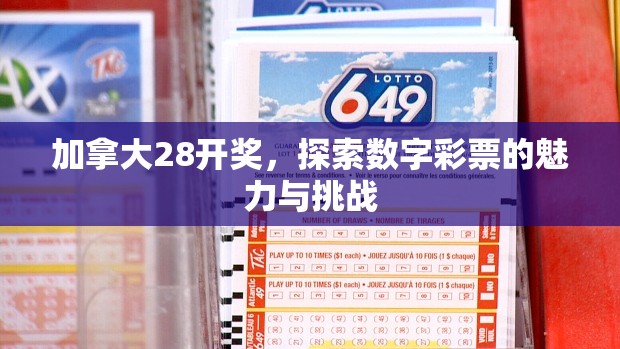 加拿大28开奖，探索数字彩票的魅力与挑战