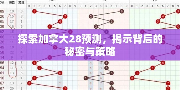 探索加拿大28预测，揭示数字游戏背后的秘密