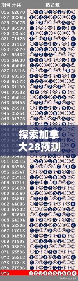 探索加拿大28预测，揭示未来的可能性与挑战