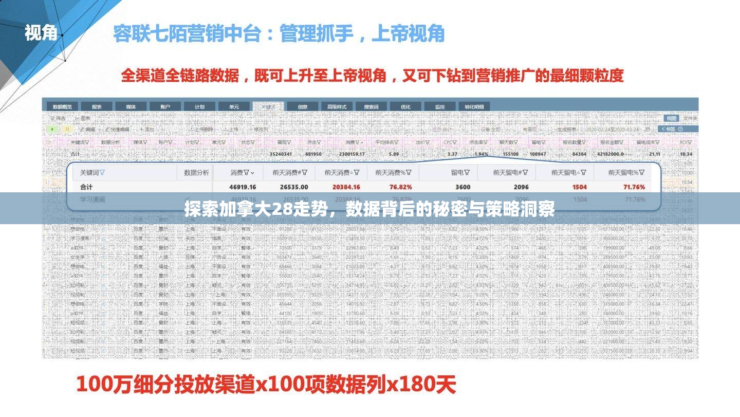 探索加拿大28走势，数据背后的秘密与策略洞察