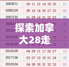 探索加拿大28走势——数字彩票的新天地