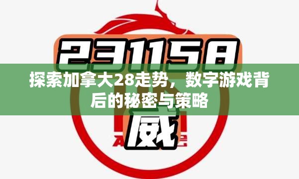 探索加拿大28预测，揭示未来的可能性与挑战