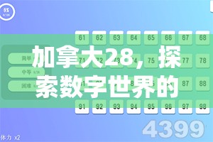 加拿大28，探索数字世界的无限魅力与机遇