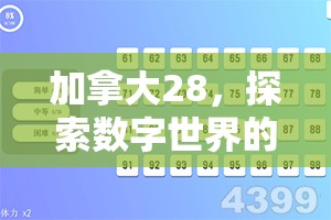 加拿大28，探索数字世界的无限魅力