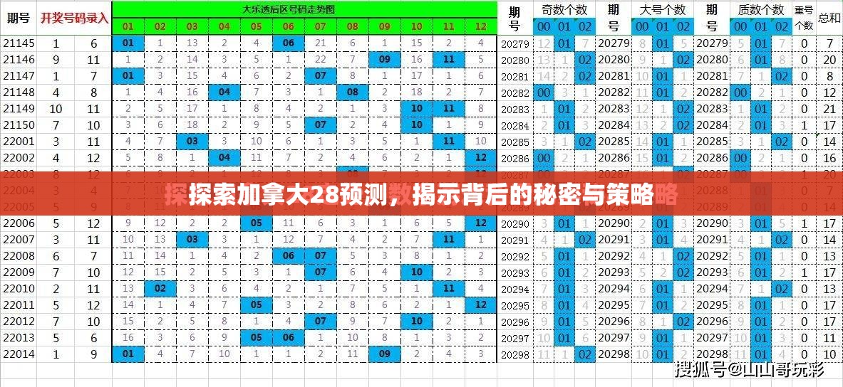 探索加拿大28预测，揭示背后的秘密与策略