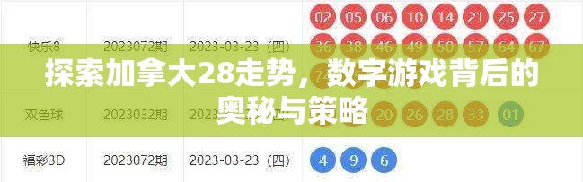 探索加拿大28走势，数字游戏背后的奥秘与策略