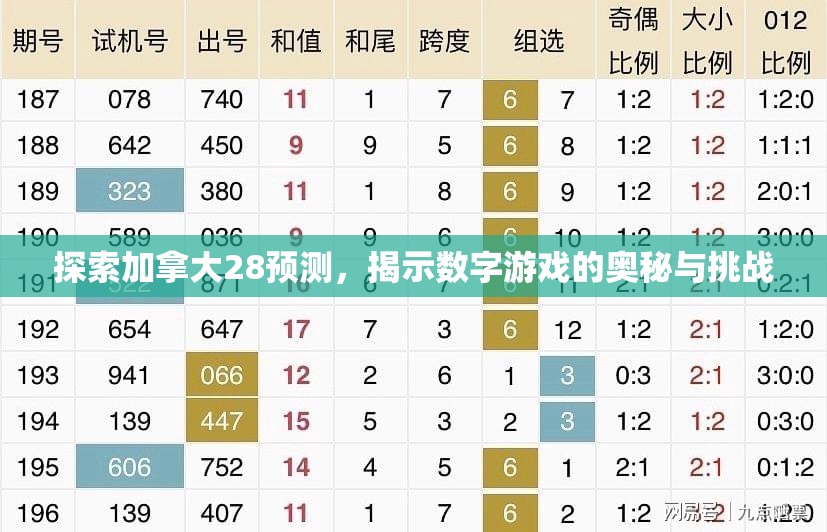 探索加拿大28预测，揭示数字游戏的奥秘与挑战