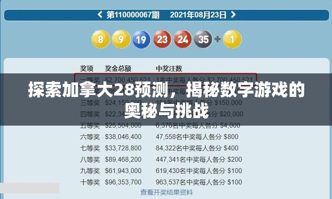 探索加拿大28预测，揭秘数字游戏的奥秘与挑战