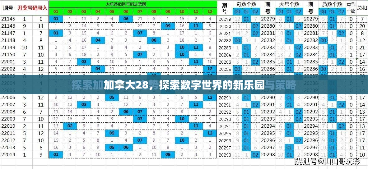 加拿大28，探索数字世界的新乐园