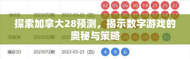 探索加拿大28预测，揭示数字游戏的奥秘与策略