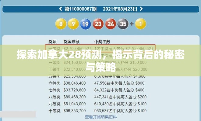 探索加拿大28预测，揭示背后的秘密与策略