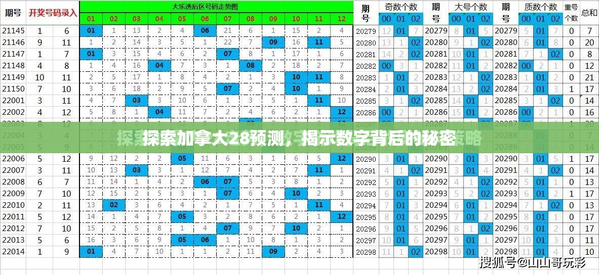 探索加拿大28预测，揭示数字背后的秘密