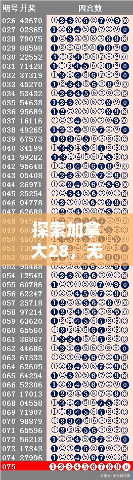 加拿大28，探索数字世界的全新魅力