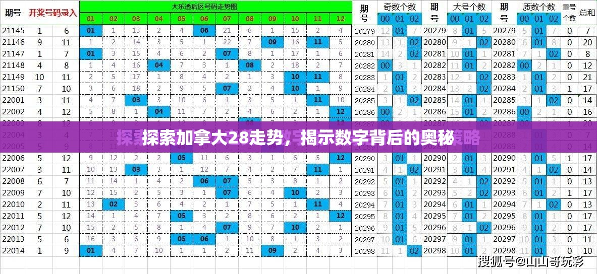 探索加拿大28走势，揭示数字背后的奥秘