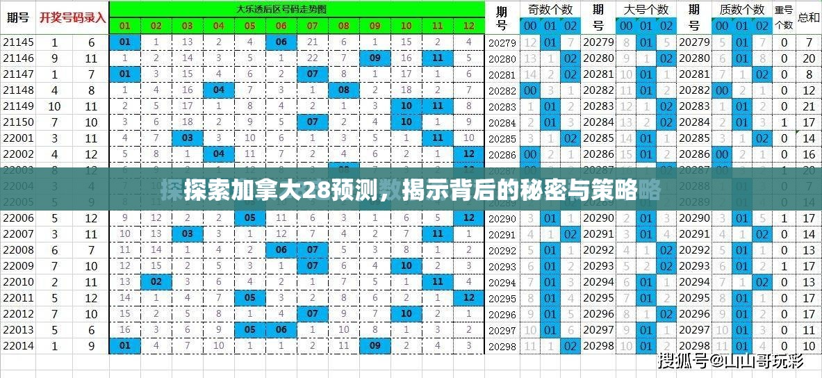 探索加拿大28预测，揭示背后的秘密与策略