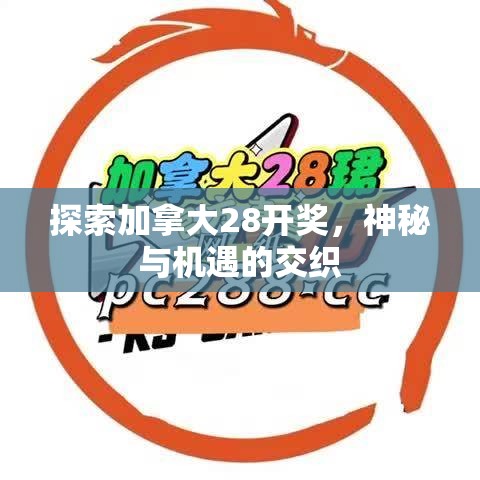 探索加拿大28开奖，神秘与机遇的交织