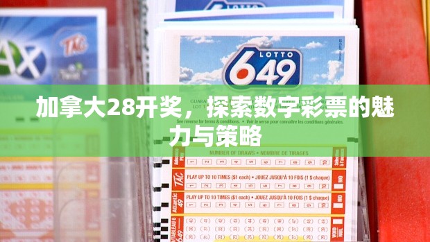 加拿大28开奖，探索数字彩票的魅力与策略