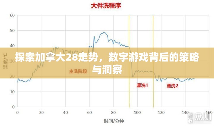 探索加拿大28走势，数字游戏背后的策略与洞察