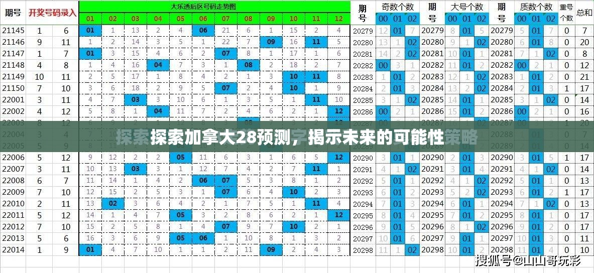 探索加拿大28预测，揭示未来的可能性