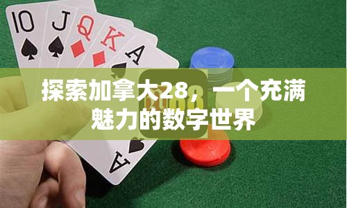 探索加拿大28，一个充满魅力的数字世界