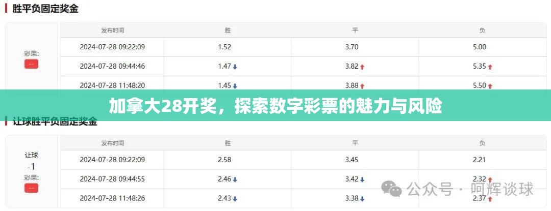 加拿大28开奖，探索数字彩票的魅力与风险